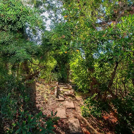 Villa Averla-costa Paradiso, Con Giardino Vista Graniti E Mare